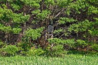 3660 Bentley Road, Custer, WI 54423