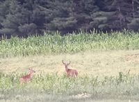 3660 Bentley Road, Custer, WI 54423