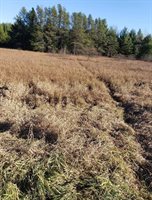 3660 Bentley Road, Custer, WI 54423