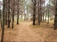 3660 Bentley Road, Custer, WI 54423