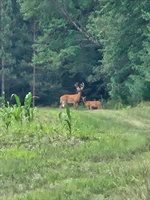 3660 Bentley Road, Custer, WI 54423