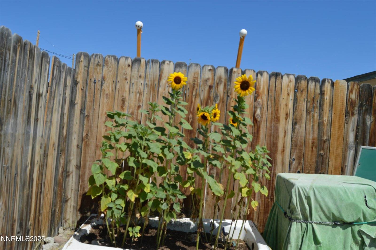 255 Elm Street, Gerlach, NV 89412