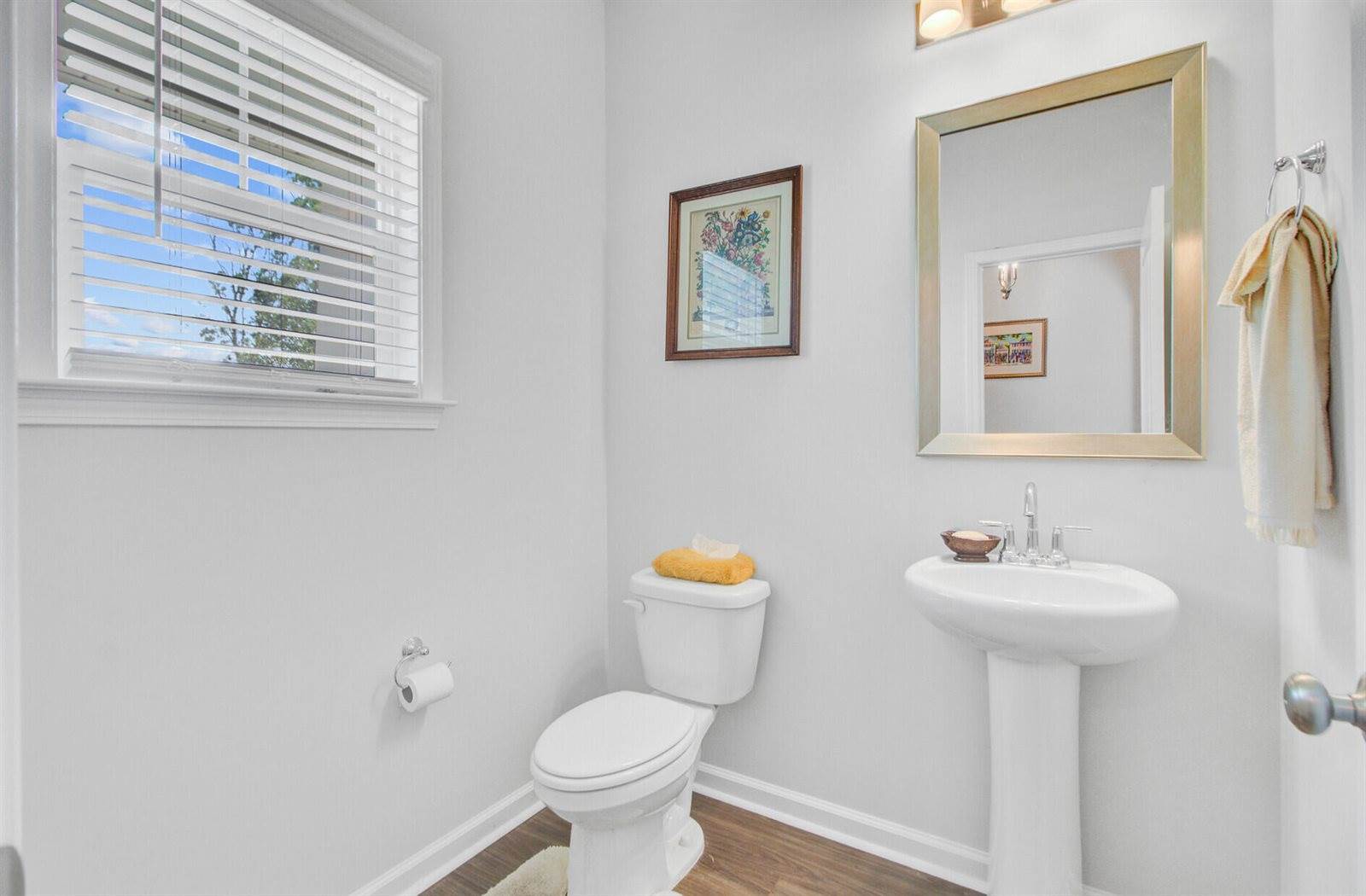 105 Guernsey Lane, Summerville, SC 29483