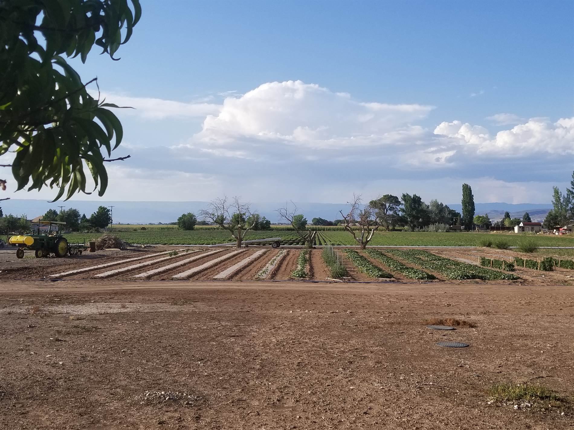 62915 Spring Creek Road, Montrose, CO 81403