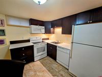 62915 Spring Creek Road, Montrose, CO 81403