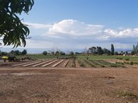 62915 Spring Creek Road, Montrose, CO 81403