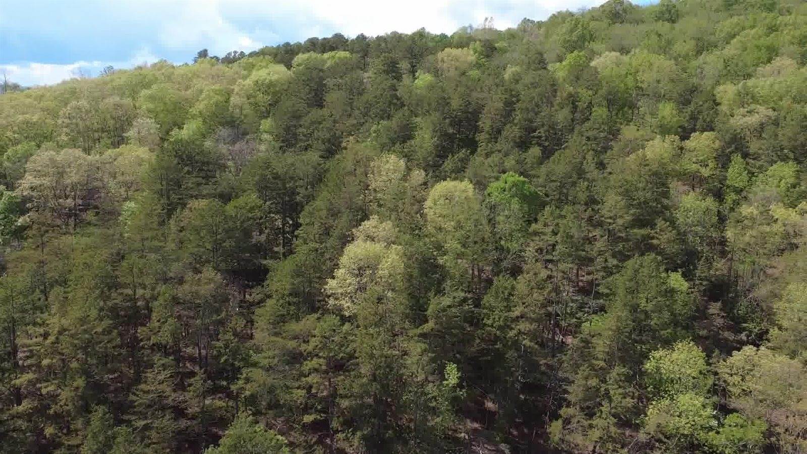 0 Johns Creek Rd, New Castle, VA 24127