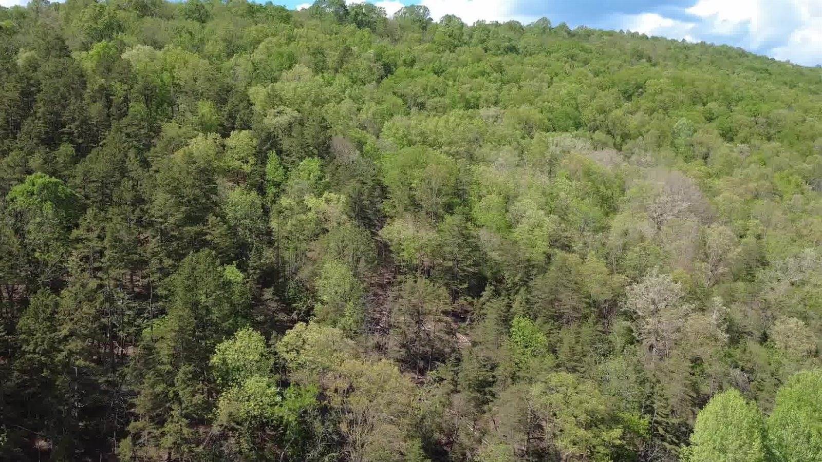 0 Johns Creek Rd, New Castle, VA 24127