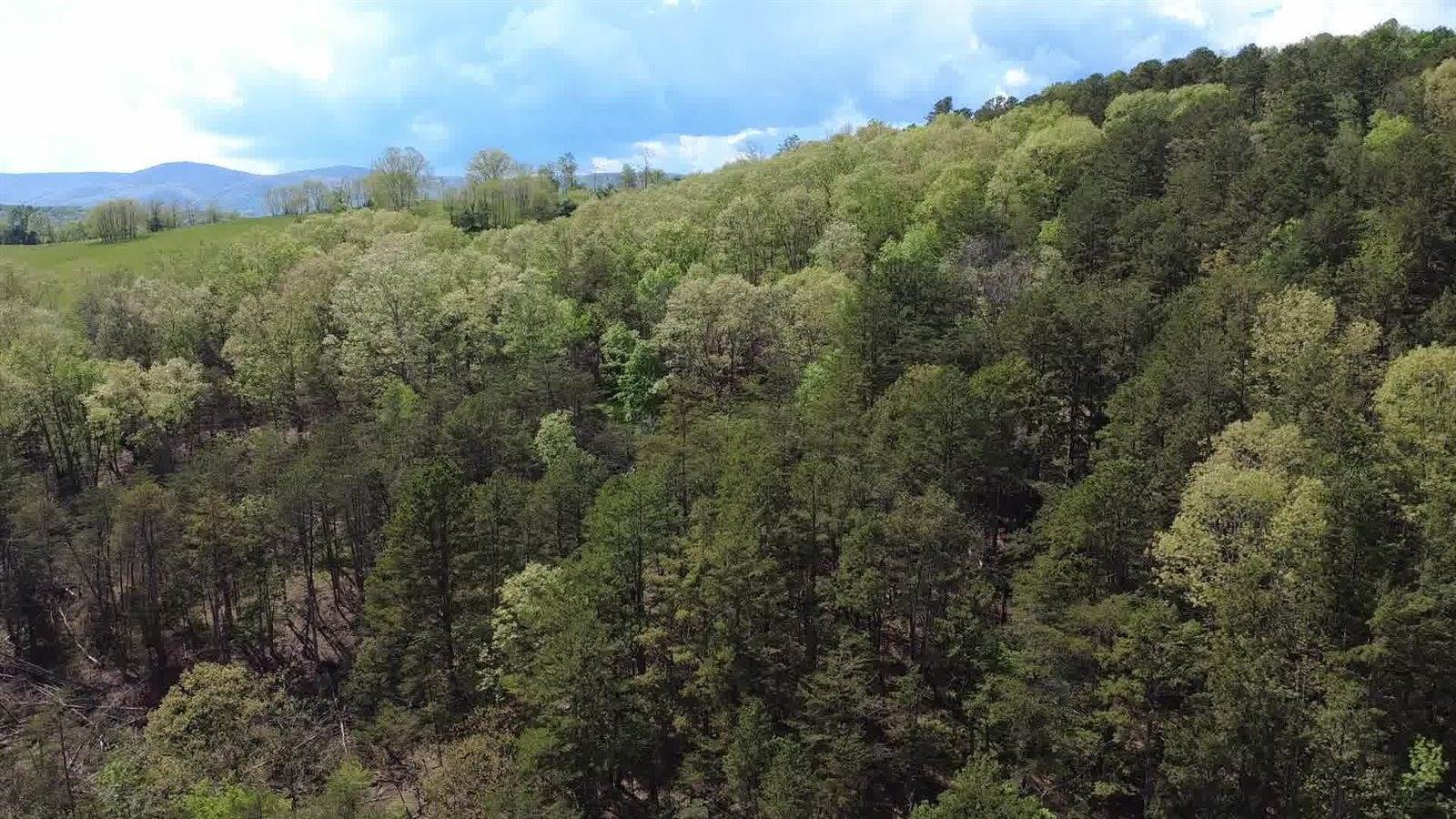 0 Johns Creek Rd, New Castle, VA 24127