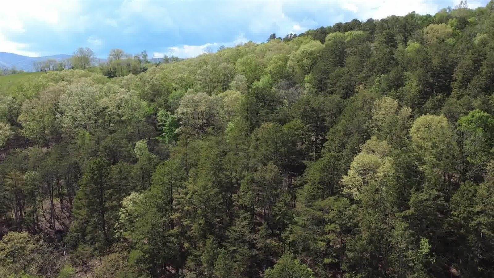 0 Johns Creek Rd, New Castle, VA 24127