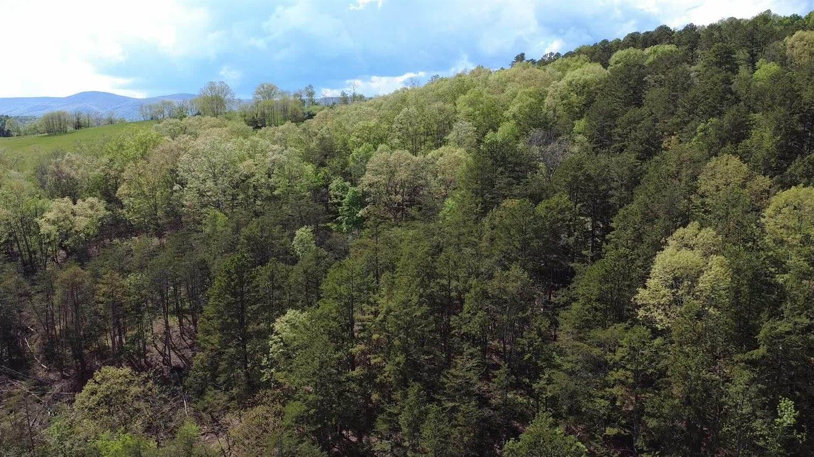 0 Johns Creek Rd, New Castle, VA 24127