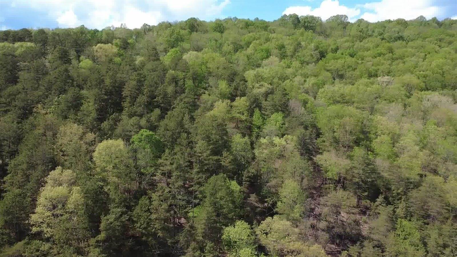 0 Johns Creek Rd, New Castle, VA 24127