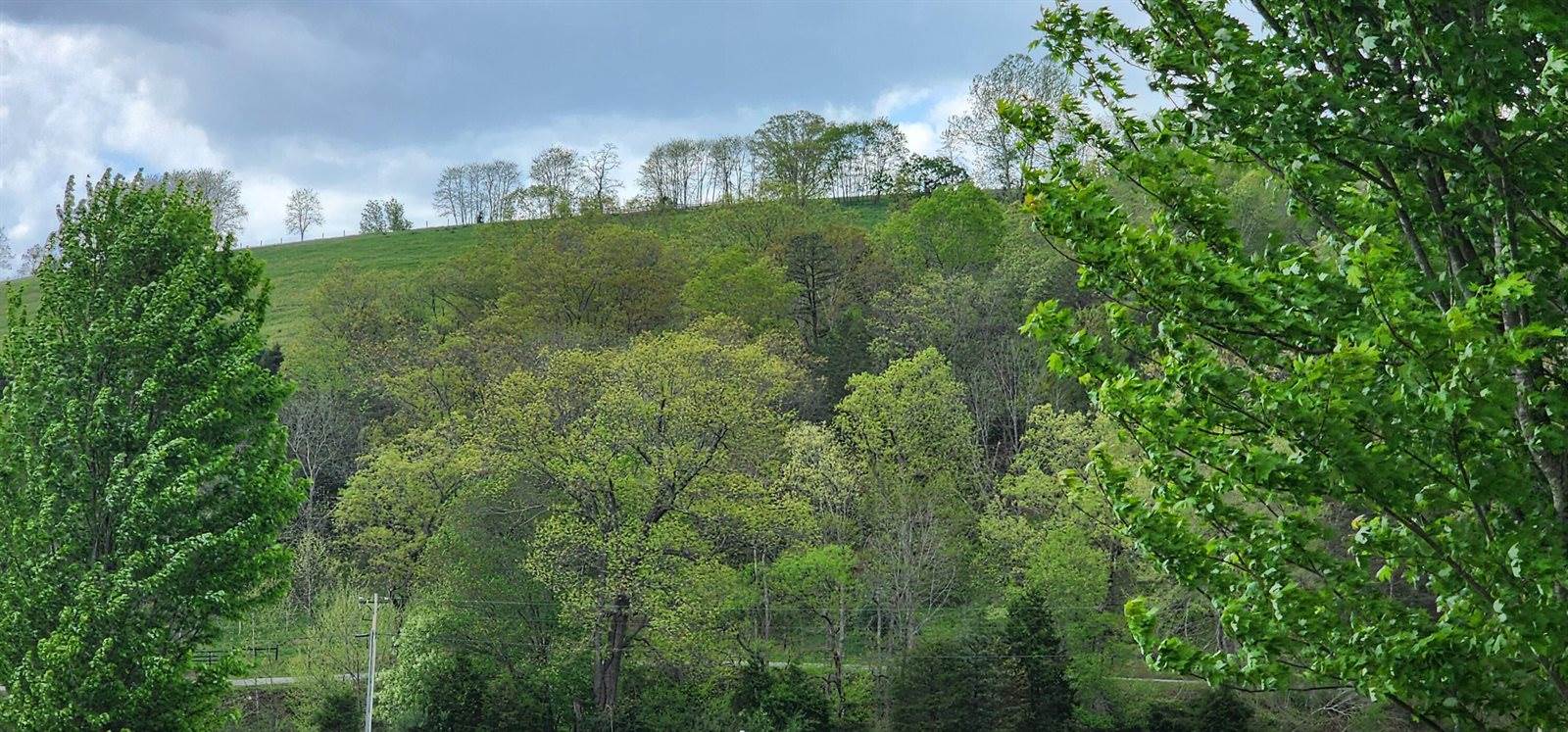 0 Johns Creek Rd, New Castle, VA 24127