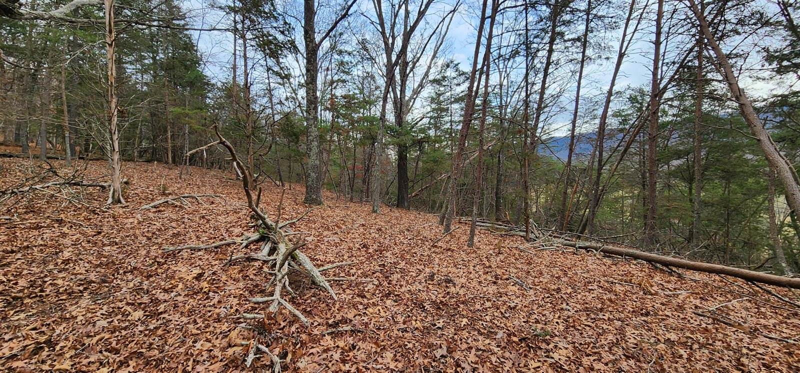 0 Johns Creek Rd, New Castle, VA 24127