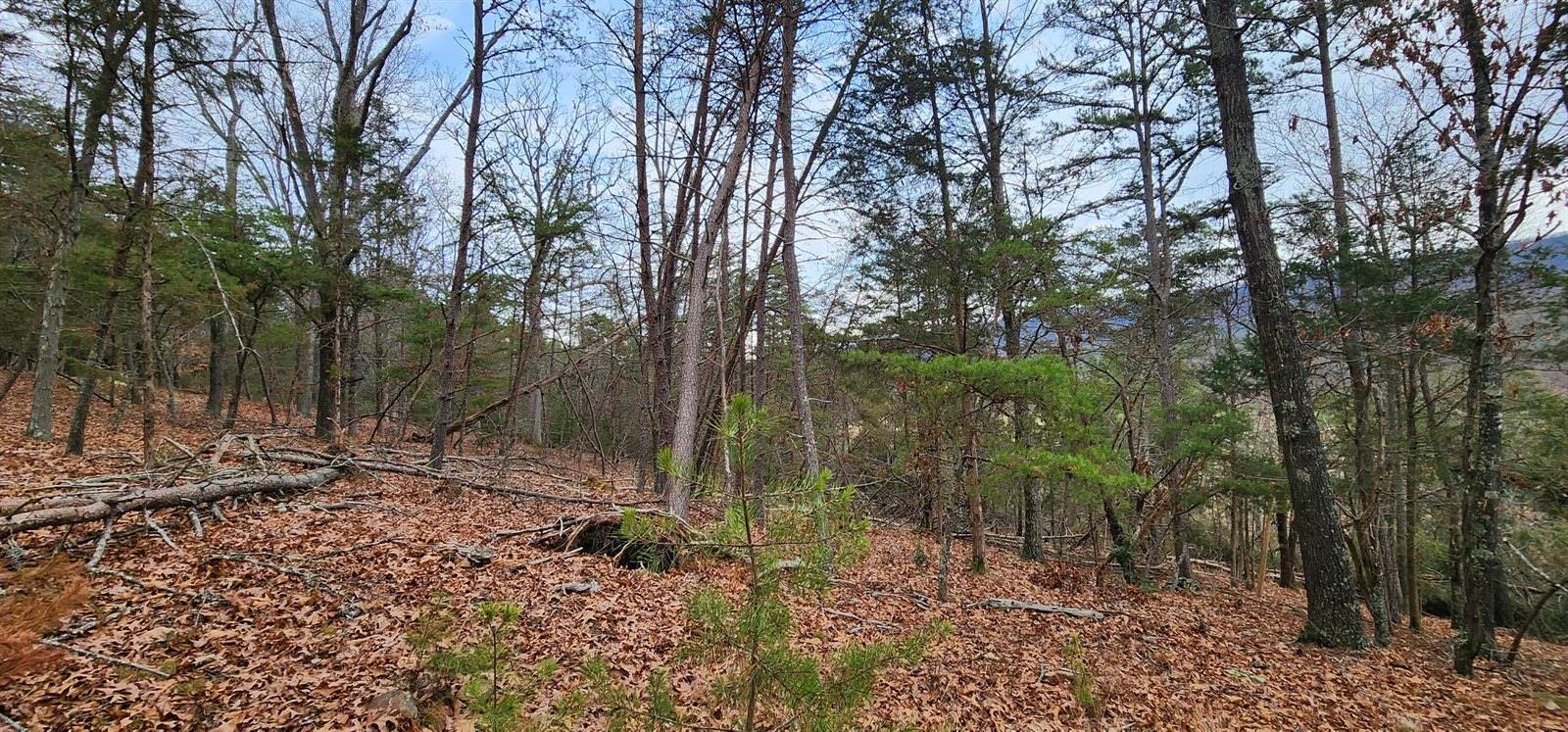 0 Johns Creek Rd, New Castle, VA 24127