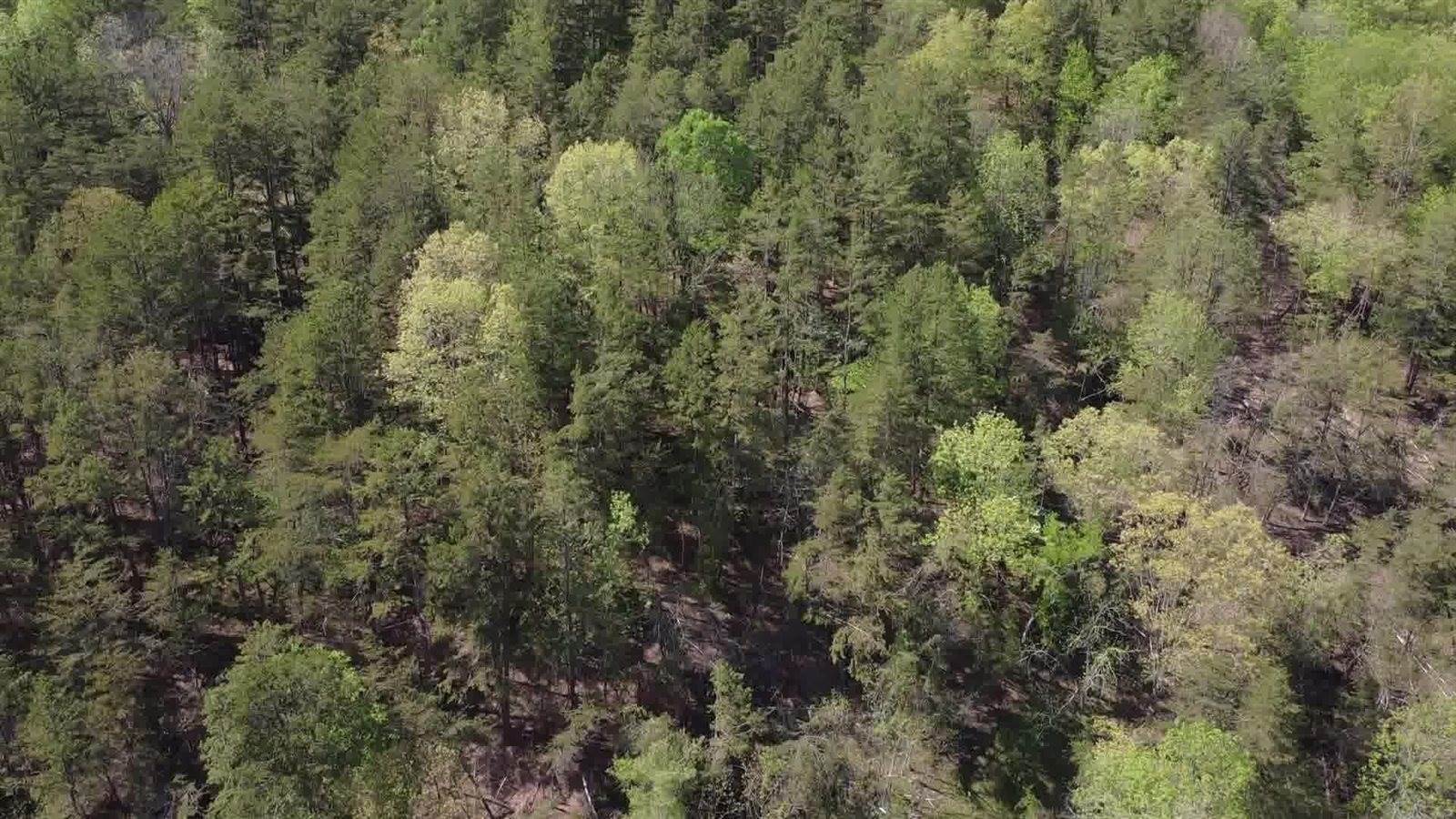 0 Johns Creek Rd, New Castle, VA 24127