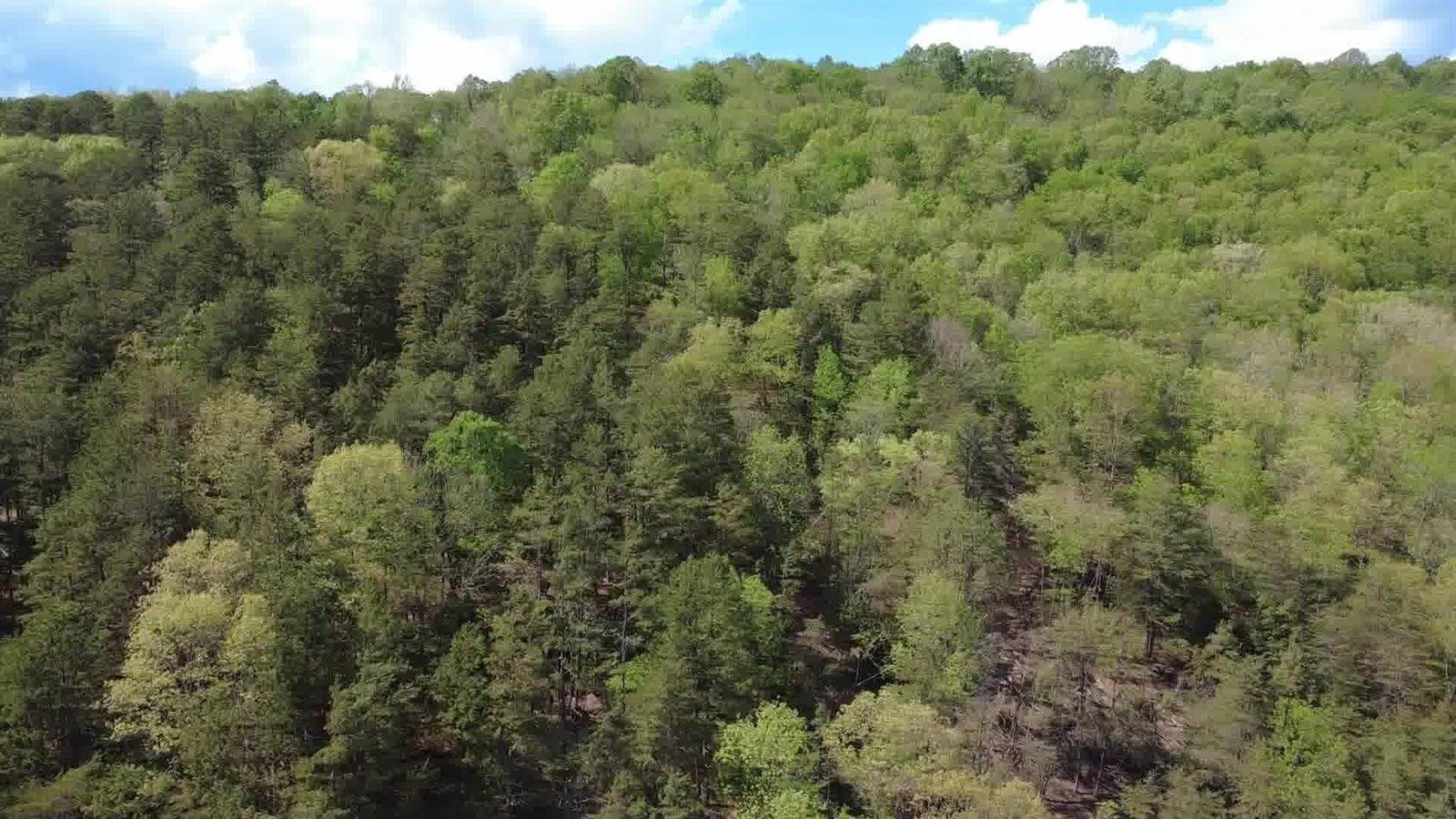 0 Johns Creek Rd, New Castle, VA 24127