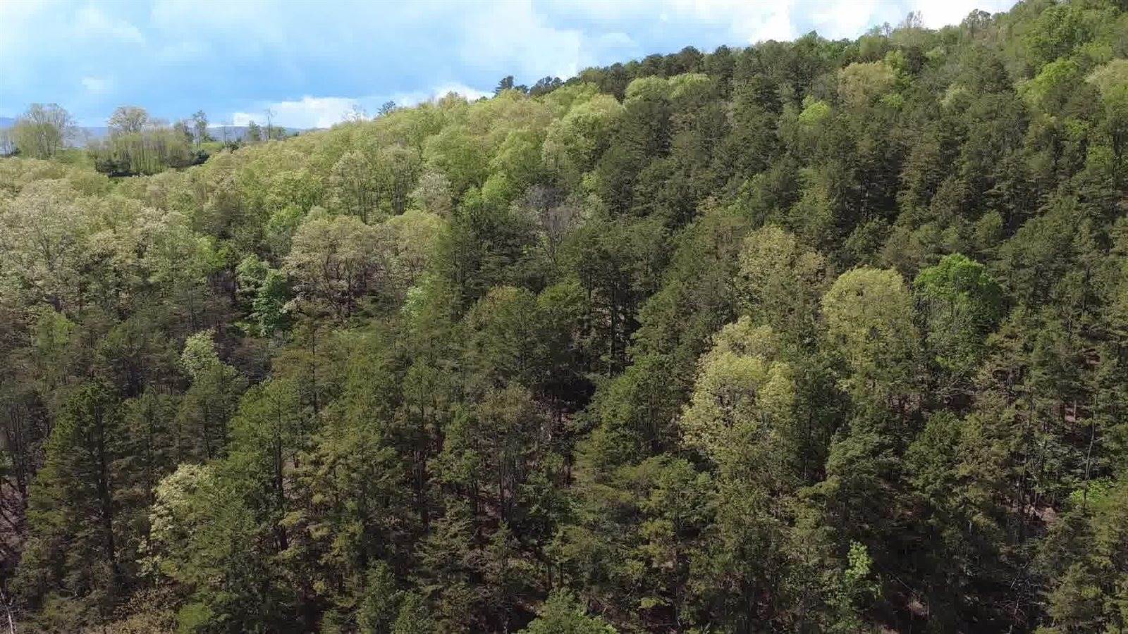 0 Johns Creek Rd, New Castle, VA 24127