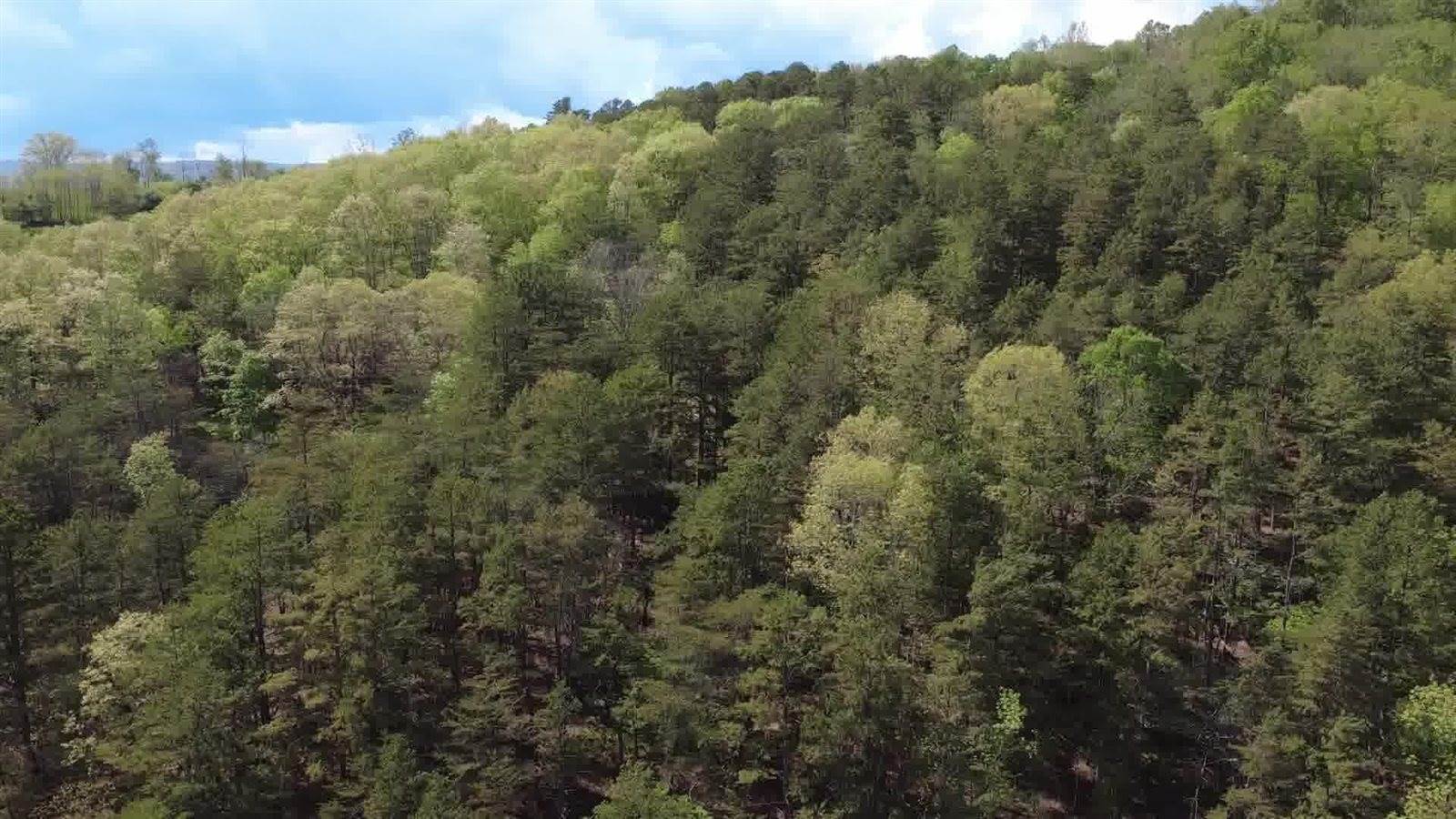 0 Johns Creek Rd, New Castle, VA 24127