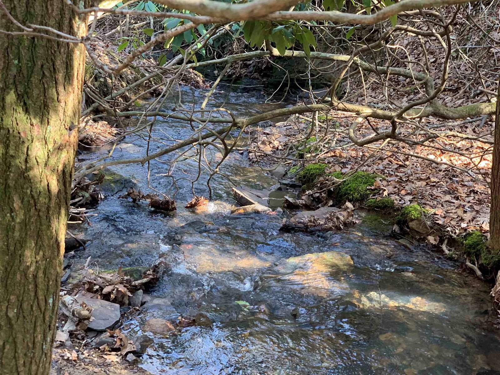 3825 Buck Mtn. Ridge, Blacksburg, VA 24060