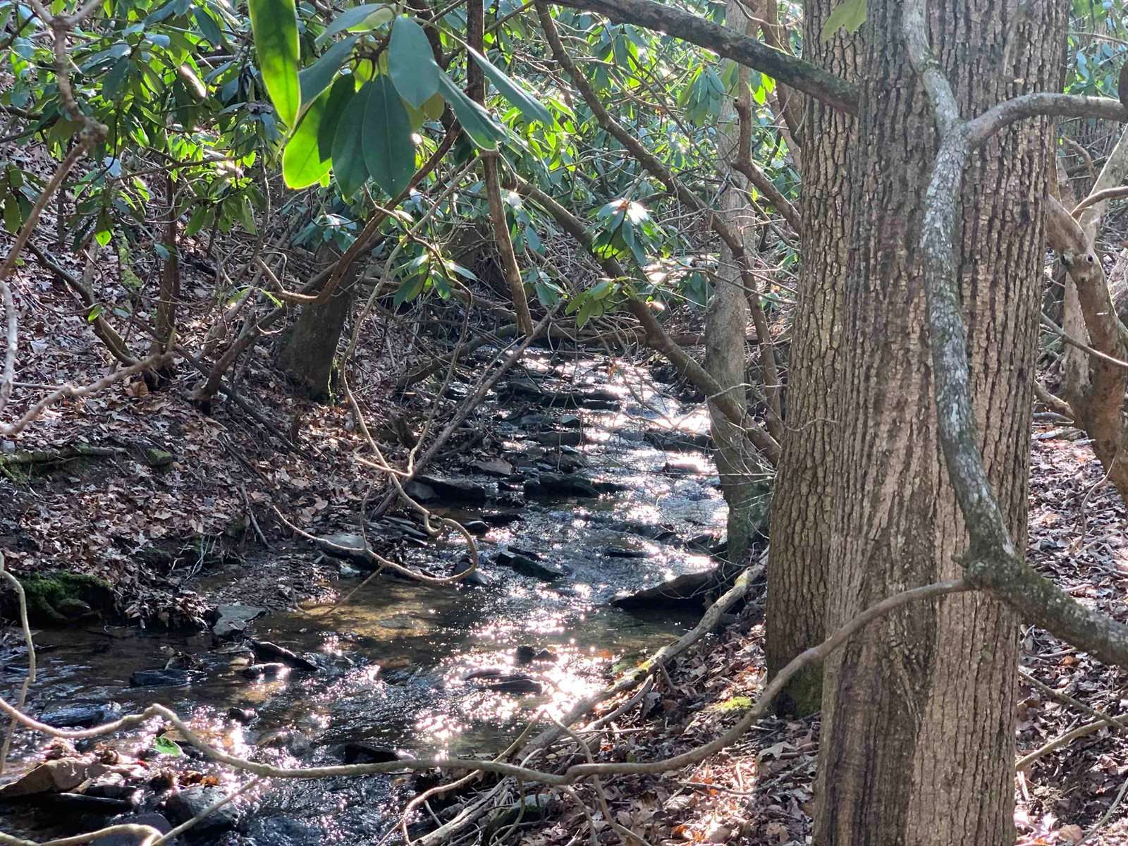 3825 Buck Mtn. Ridge, Blacksburg, VA 24060