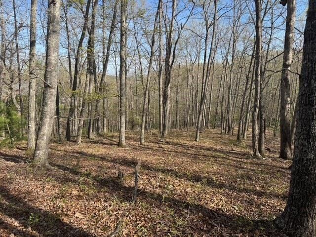 3825 Buck Mtn. Ridge, Blacksburg, VA 24060