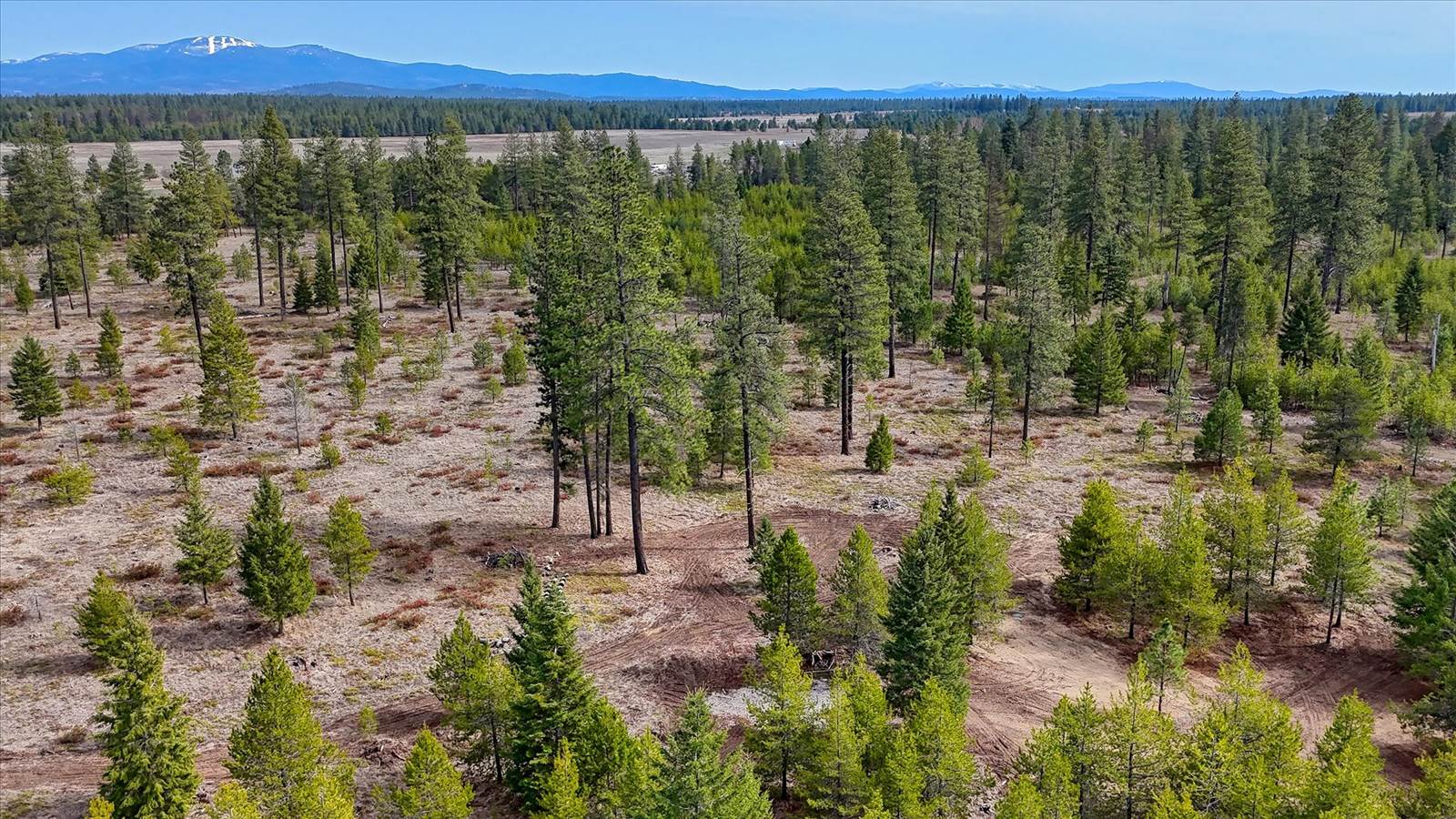 901 West Ponderosa Meadows Ln, Deer Park, WA 99006