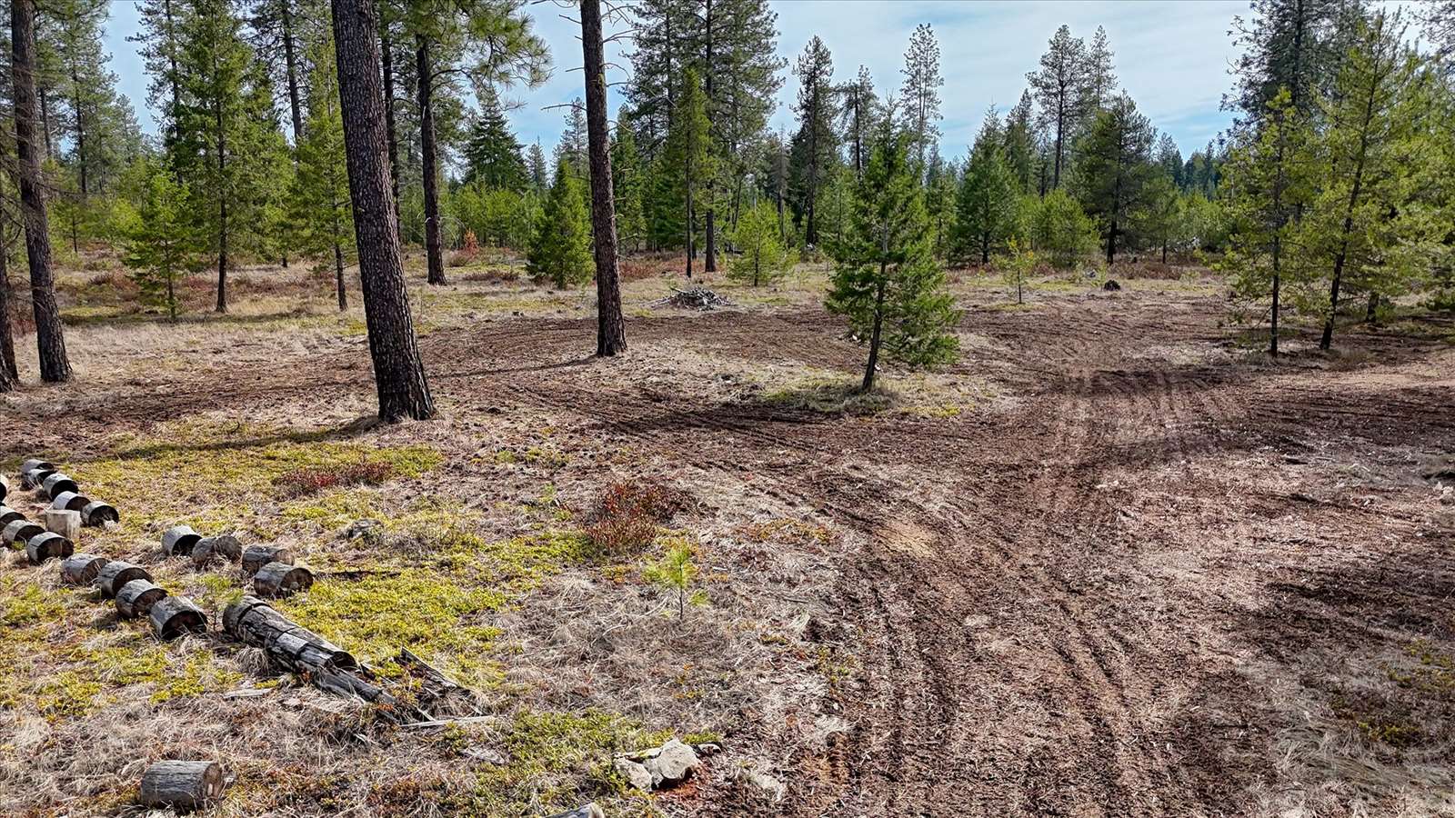 901 West Ponderosa Meadows Ln, Deer Park, WA 99006