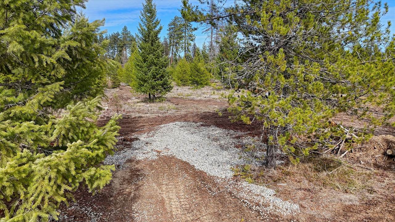 901 West Ponderosa Meadows Ln, Deer Park, WA 99006