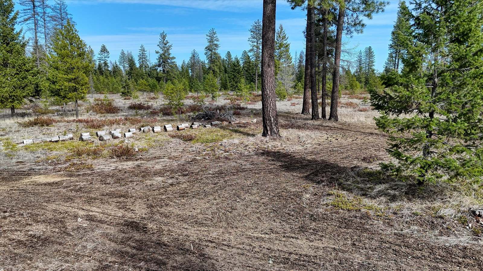 901 West Ponderosa Meadows Ln, Deer Park, WA 99006