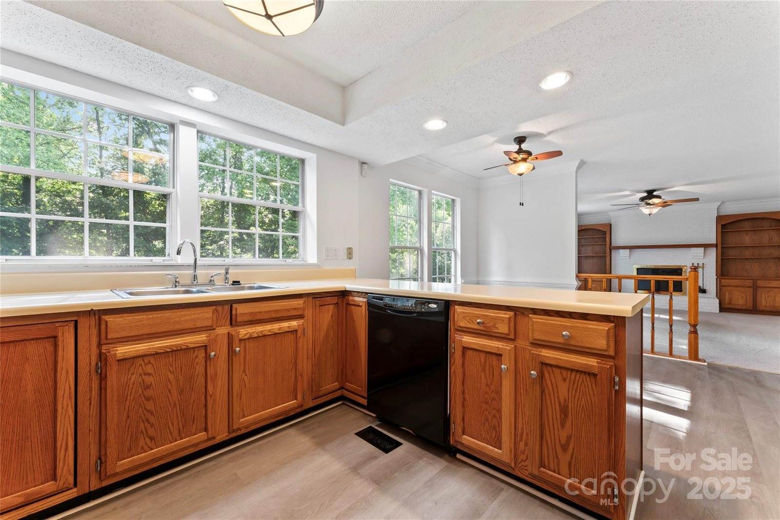 9833 White Cascade Drive, Charlotte, NC 28269