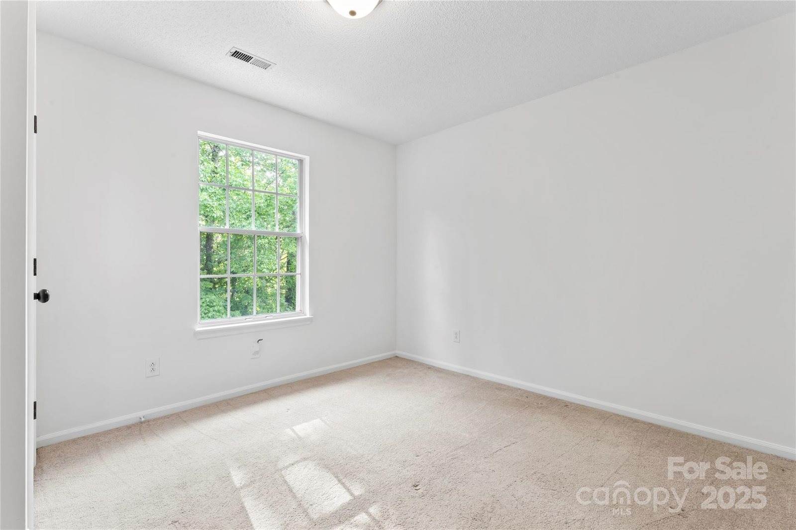 9833 White Cascade Drive, Charlotte, NC 28269