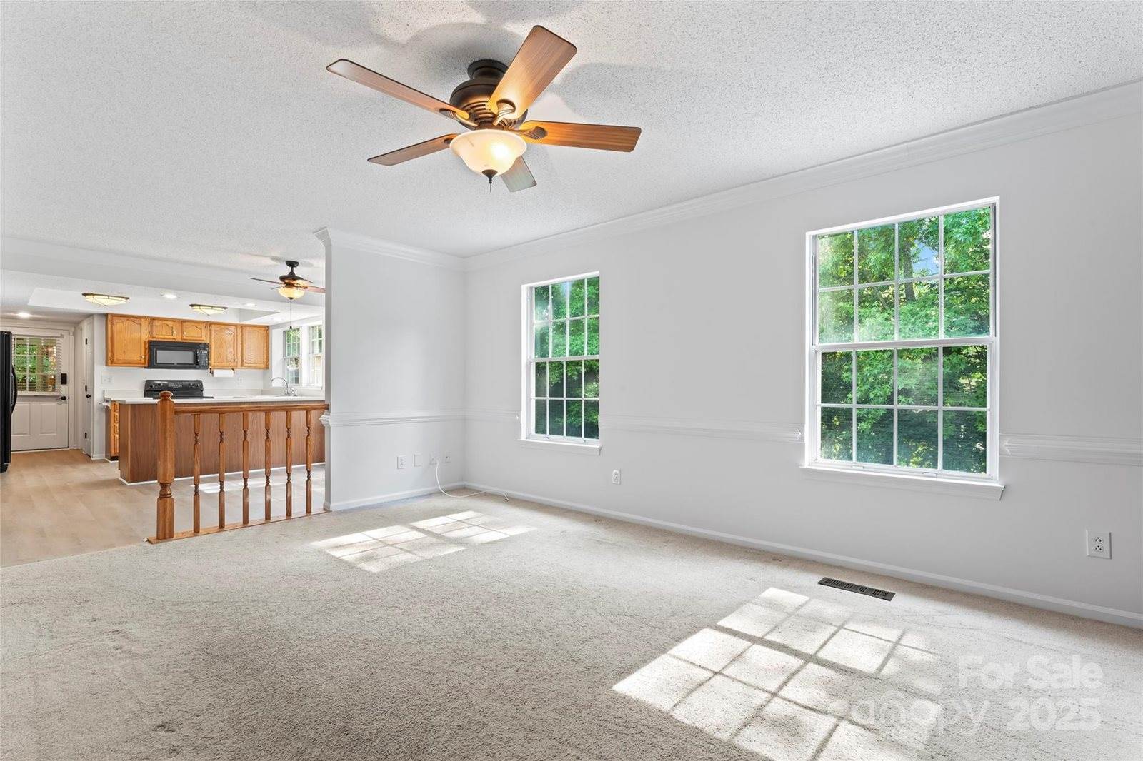 9833 White Cascade Drive, Charlotte, NC 28269