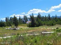 29222 North 1st Street, Athol, ID 83801