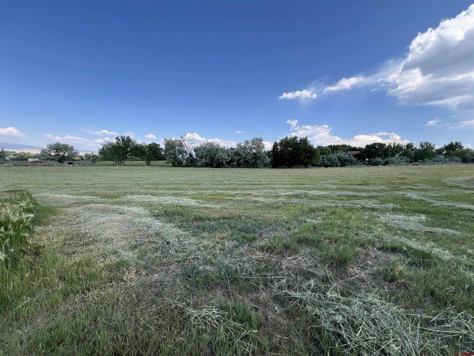 60886 Oak Grove Road, Montrose, CO 81403