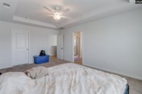 2024 Cold Rocks, Lexington, SC 29073