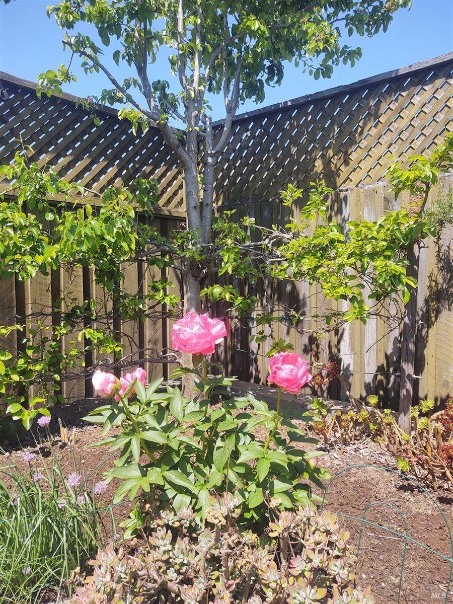 1649 Javore Drive, Santa Rosa, CA 95407