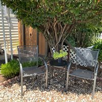 245 Rocky Hills Lane, Rancho Cordova, CA 95670