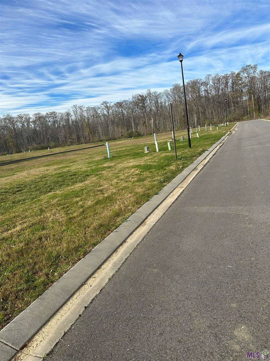 12864 St Lucia Dr, Maurepas, LA 70449