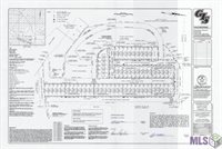 12864 St Lucia Dr, Maurepas, LA 70449