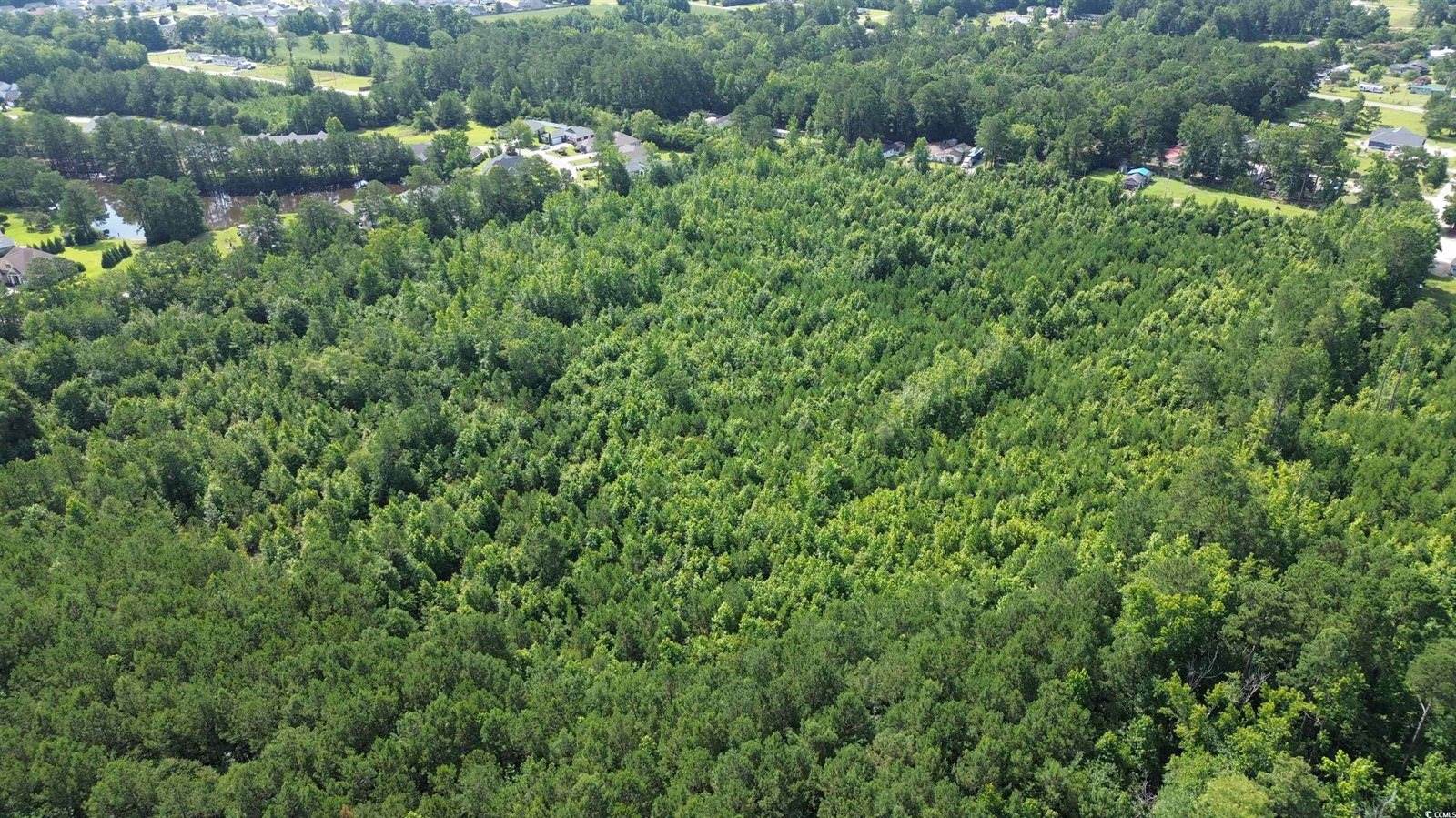 TBD Elbow Rd., Longs, SC 29568