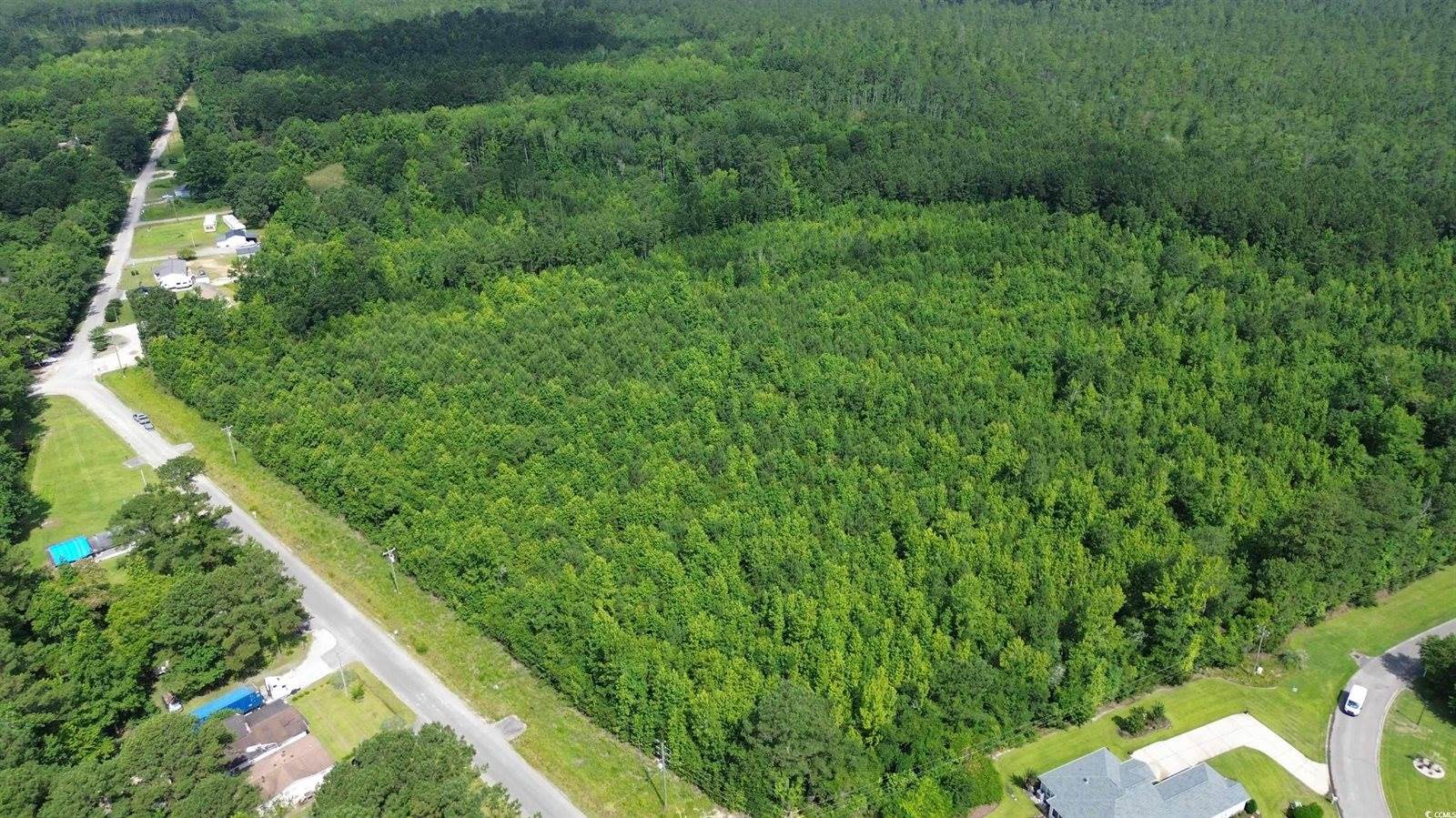 TBD Elbow Rd., Longs, SC 29568