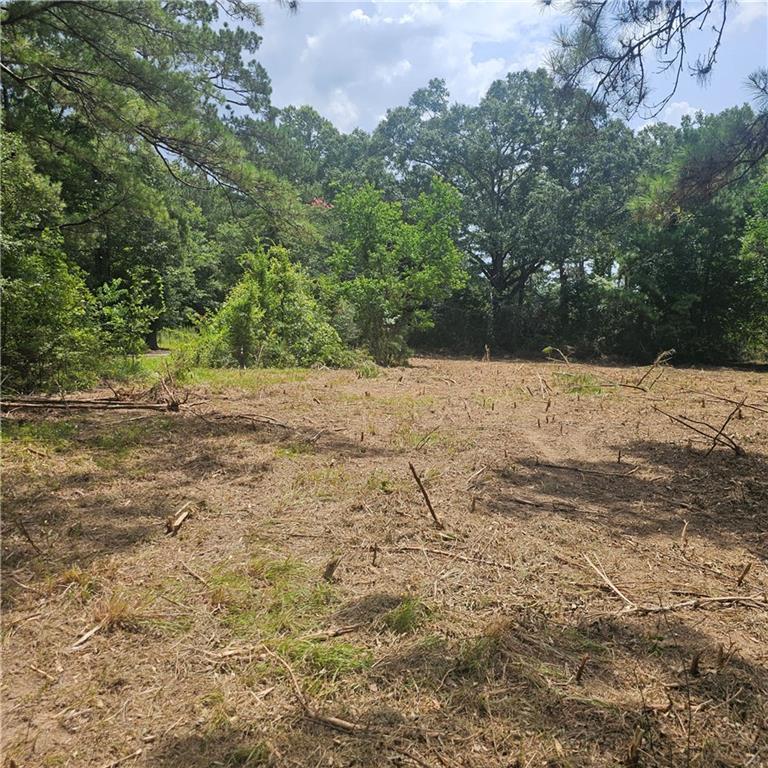 Lot A- Vining Road, Amite, LA 70422