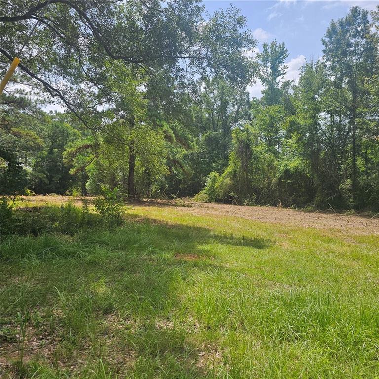 Lot A- Vining Road, Amite, LA 70422