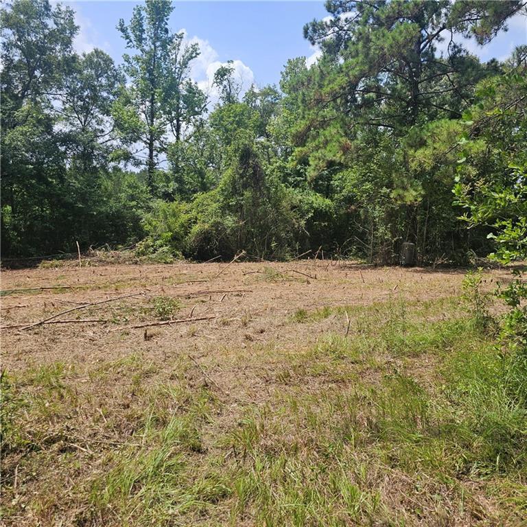 Lot A- Vining Road, Amite, LA 70422
