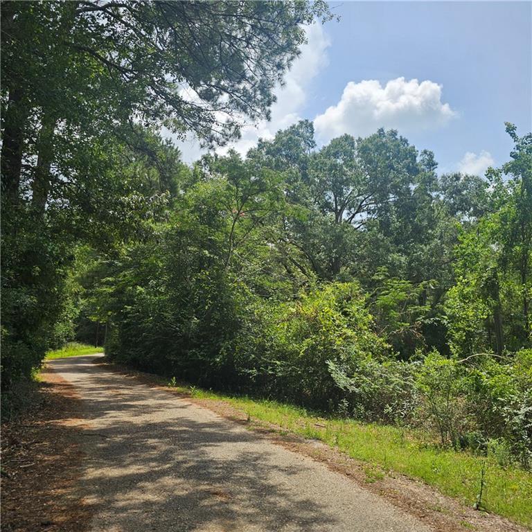 Lot A- Vining Road, Amite, LA 70422