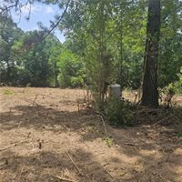 Lot A- Vining Road, Amite, LA 70422