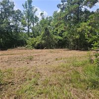 Lot A- Vining Road, Amite, LA 70422