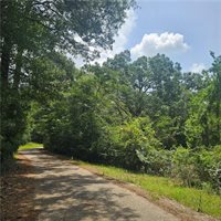 Lot A- Vining Road, Amite, LA 70422