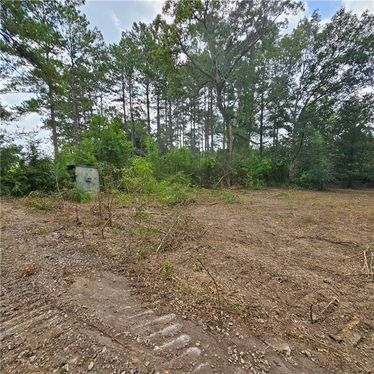 Lot B - Vining Road, Amite, LA 70422